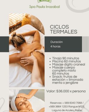 CICLOS TERMALES